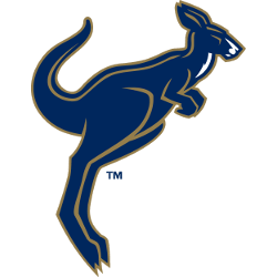 Akron Zips Alternate Logo 2002 - 2007